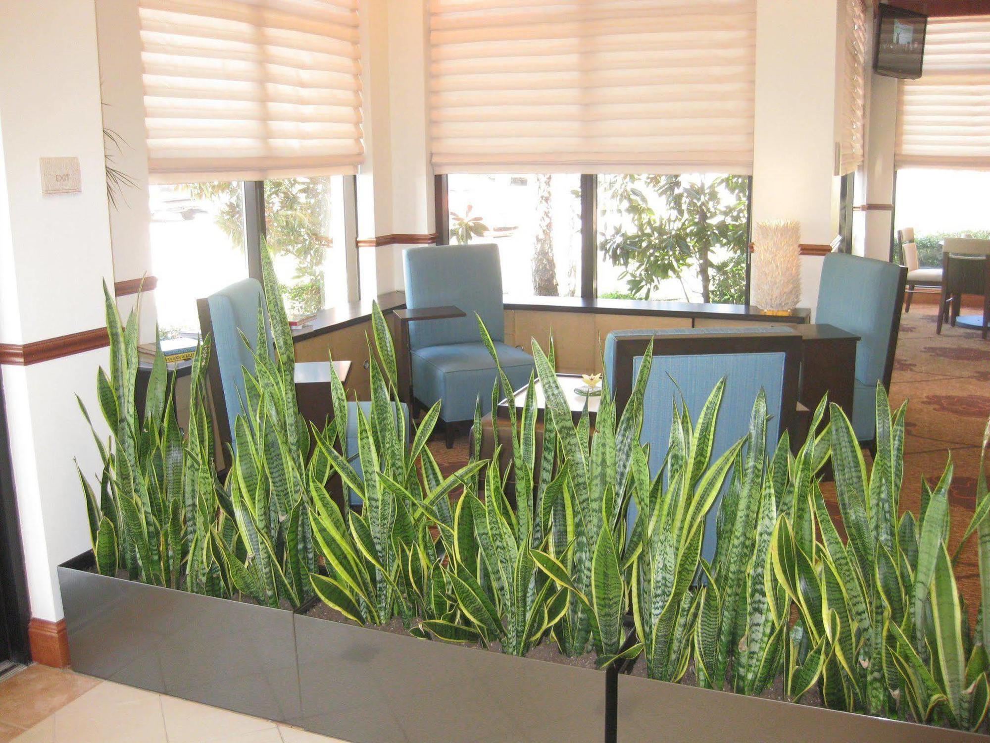 Courtyard By Marriott Dallas Arlington Entertainment District Extérieur photo